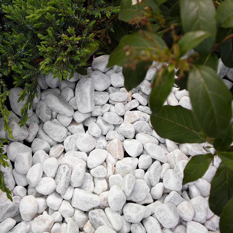 Crystal White singel