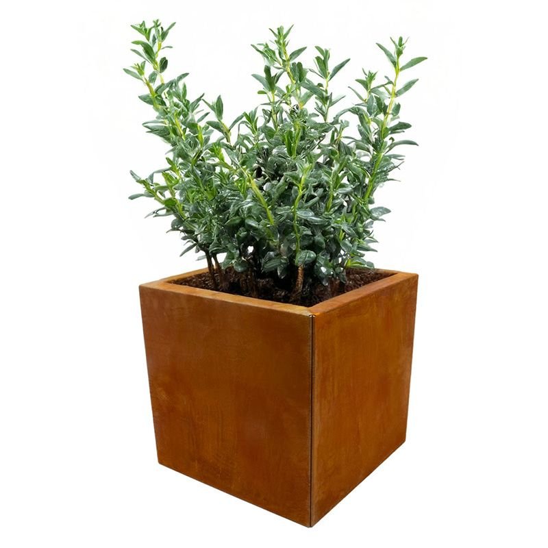 Planteringslåda Corten