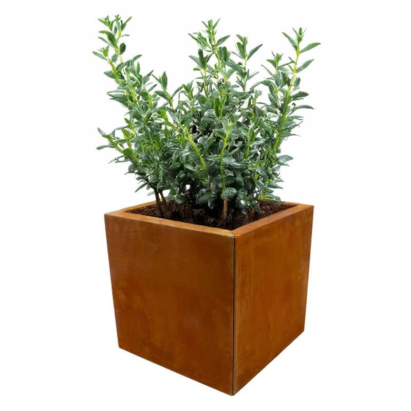 Planteringslåda Corten